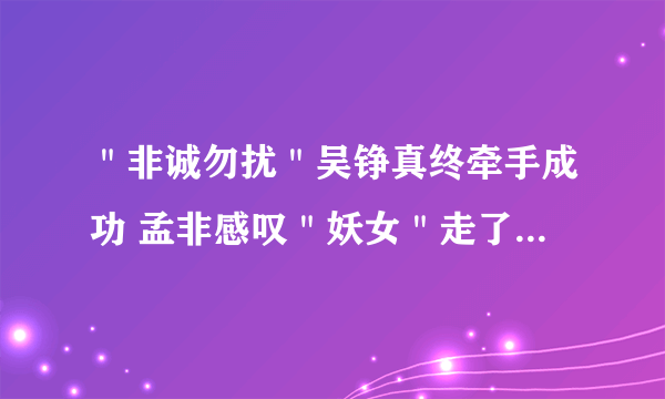 ＂非诚勿扰＂吴铮真终牵手成功 孟非感叹＂妖女＂走了-飞外网