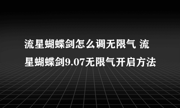 流星蝴蝶剑怎么调无限气 流星蝴蝶剑9.07无限气开启方法