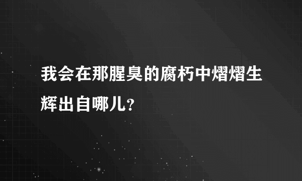 我会在那腥臭的腐朽中熠熠生辉出自哪儿？