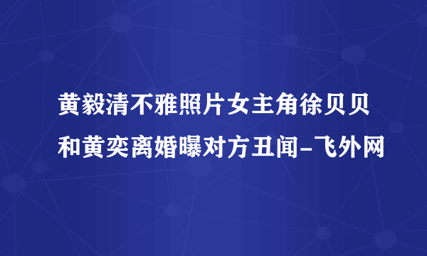 黄毅清不雅照片女主角徐贝贝和黄奕离婚曝对方丑闻-飞外网