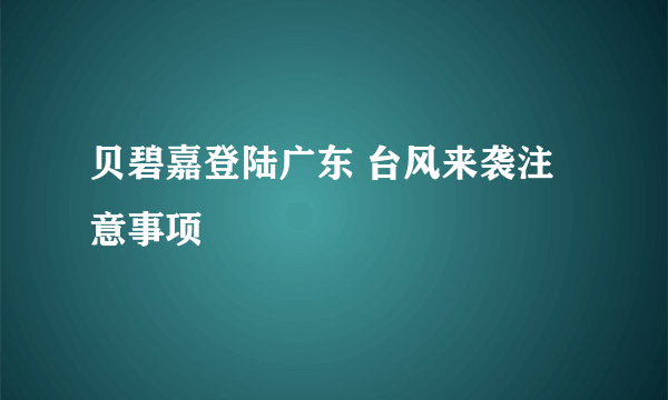 贝碧嘉登陆广东 台风来袭注意事项