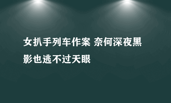 女扒手列车作案 奈何深夜黑影也逃不过天眼