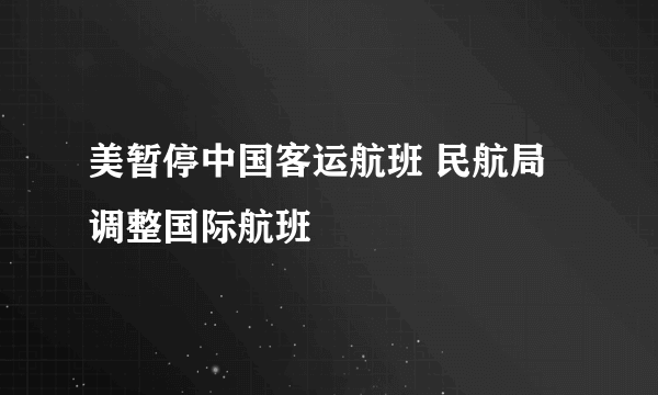 美暂停中国客运航班 民航局调整国际航班