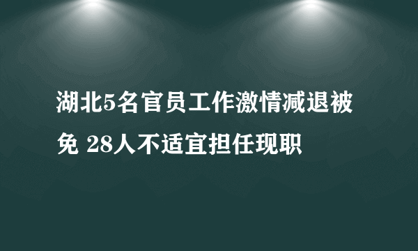 湖北5名官员工作激情减退被免 28人不适宜担任现职