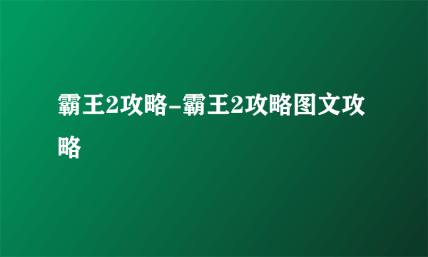 霸王2攻略-霸王2攻略图文攻略