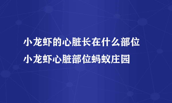 小龙虾的心脏长在什么部位 小龙虾心脏部位蚂蚁庄园