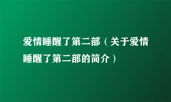 爱情睡醒了第二部（关于爱情睡醒了第二部的简介）