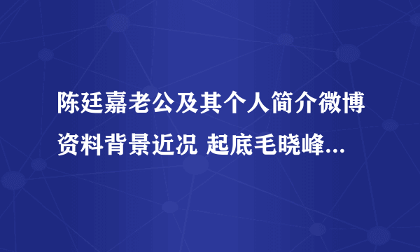 陈廷嘉老公及其个人简介微博资料背景近况 起底毛晓峰老婆陈廷嘉