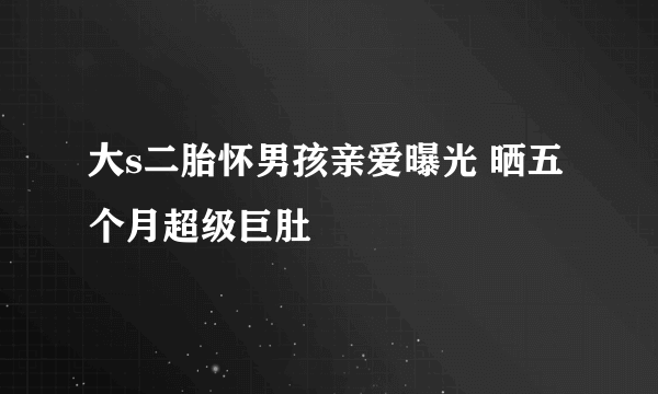 大s二胎怀男孩亲爱曝光 晒五个月超级巨肚