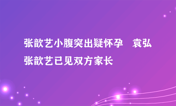 张歆艺小腹突出疑怀孕   袁弘张歆艺已见双方家长