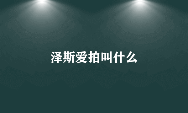 泽斯爱拍叫什么