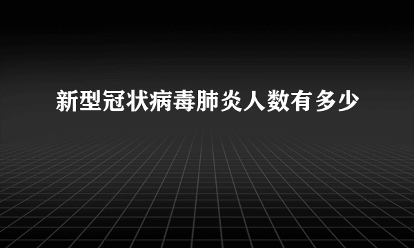 新型冠状病毒肺炎人数有多少