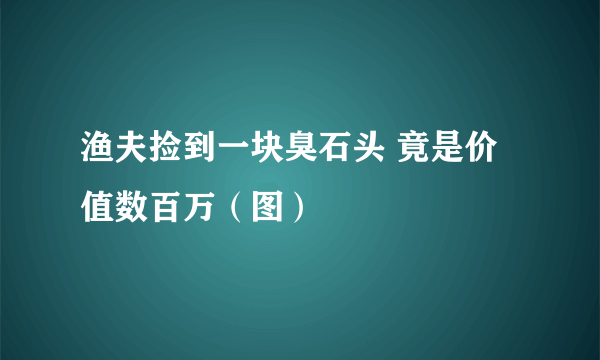 渔夫捡到一块臭石头 竟是价值数百万（图）