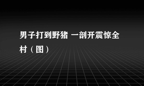 男子打到野猪 一剖开震惊全村（图）