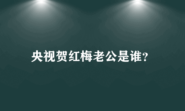 央视贺红梅老公是谁？