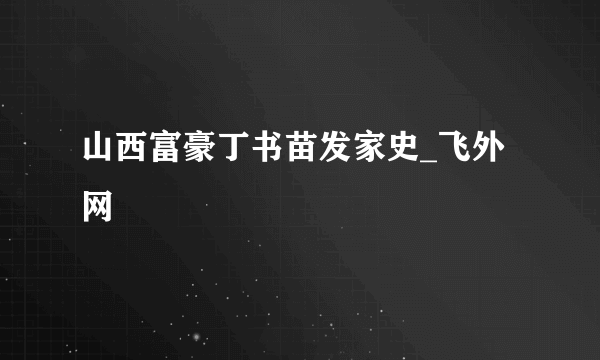 山西富豪丁书苗发家史_飞外网