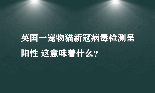 英国一宠物猫新冠病毒检测呈阳性 这意味着什么？