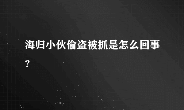 海归小伙偷盗被抓是怎么回事？