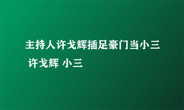 主持人许戈辉插足豪门当小三 许戈辉 小三