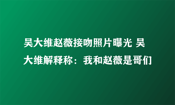 吴大维赵薇接吻照片曝光 吴大维解释称：我和赵薇是哥们