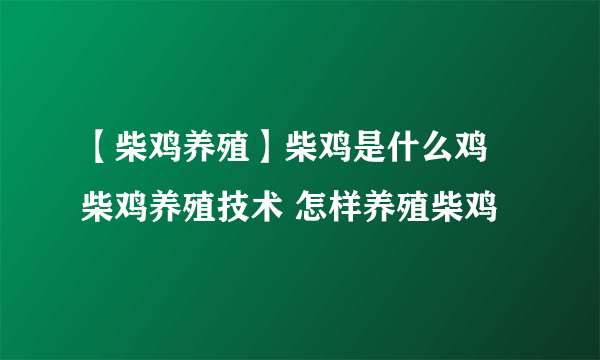 【柴鸡养殖】柴鸡是什么鸡 柴鸡养殖技术 怎样养殖柴鸡