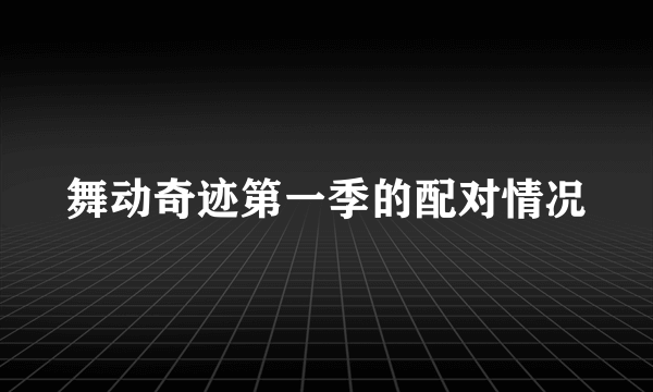 舞动奇迹第一季的配对情况