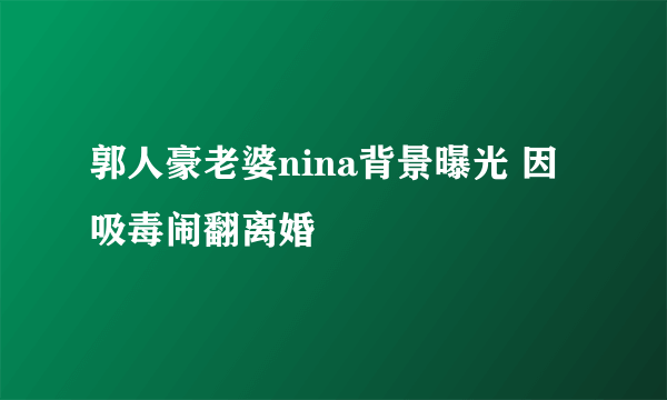 郭人豪老婆nina背景曝光 因吸毒闹翻离婚