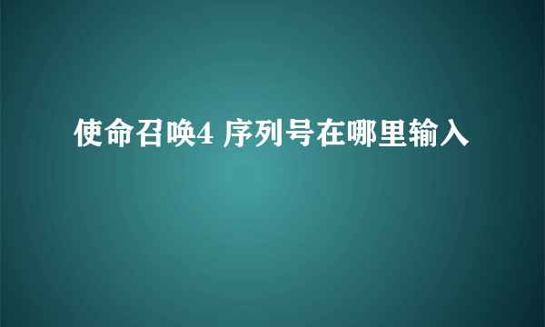 使命召唤4 序列号在哪里输入