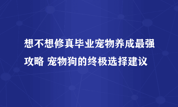 想不想修真毕业宠物养成最强攻略 宠物狗的终极选择建议