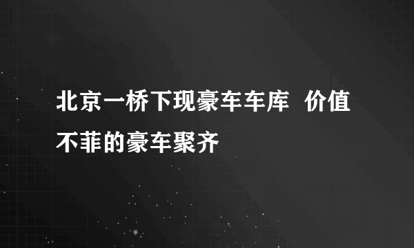 北京一桥下现豪车车库  价值不菲的豪车聚齐