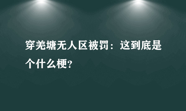 穿羌塘无人区被罚：这到底是个什么梗？