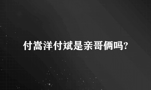 付嵩洋付斌是亲哥俩吗?