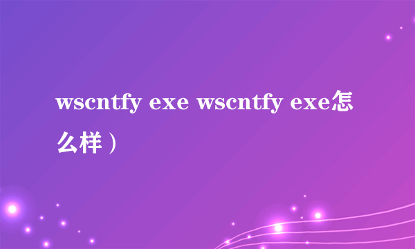 wscntfy exe wscntfy exe怎么样）