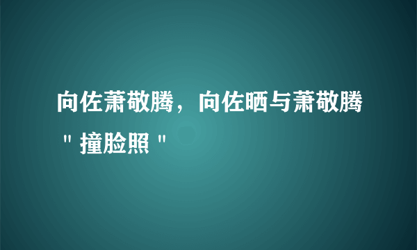 向佐萧敬腾，向佐晒与萧敬腾＂撞脸照＂