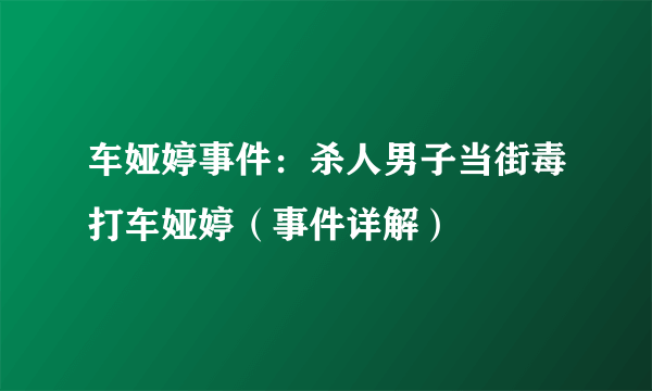 车娅婷事件：杀人男子当街毒打车娅婷（事件详解）