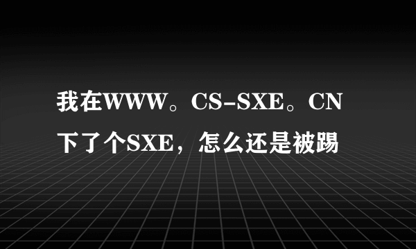 我在WWW。CS-SXE。CN下了个SXE，怎么还是被踢