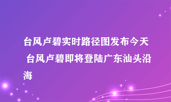 台风卢碧实时路径图发布今天 台风卢碧即将登陆广东汕头沿海