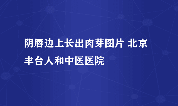 阴唇边上长出肉芽图片 北京丰台人和中医医院