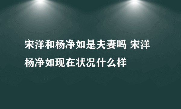 宋洋和杨净如是夫妻吗 宋洋杨净如现在状况什么样