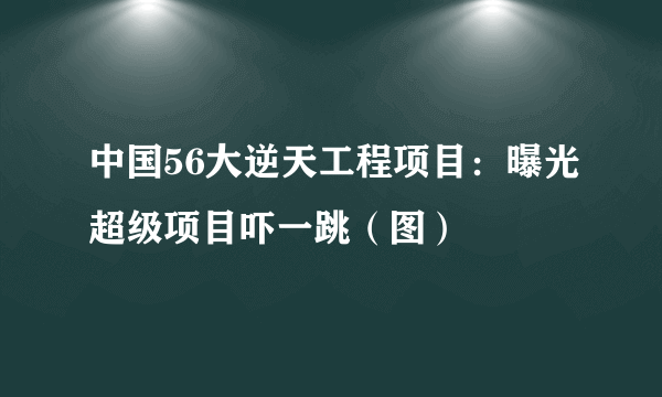 中国56大逆天工程项目：曝光超级项目吓一跳（图）