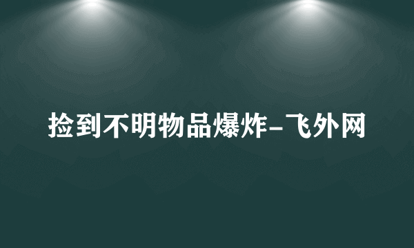 捡到不明物品爆炸-飞外网