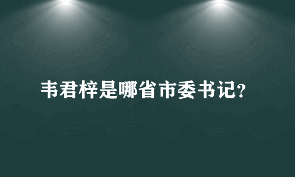 韦君梓是哪省市委书记？