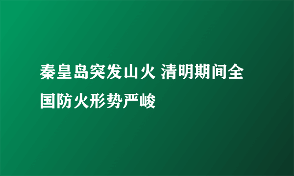 秦皇岛突发山火 清明期间全国防火形势严峻