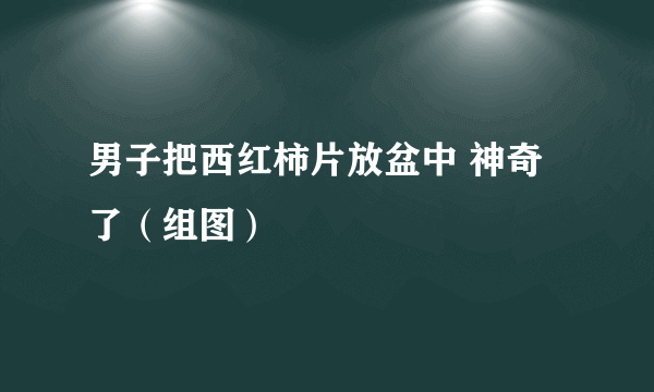 男子把西红柿片放盆中 神奇了（组图）