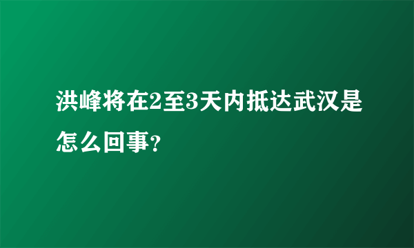 洪峰将在2至3天内抵达武汉是怎么回事？