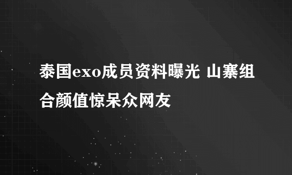 泰国exo成员资料曝光 山寨组合颜值惊呆众网友