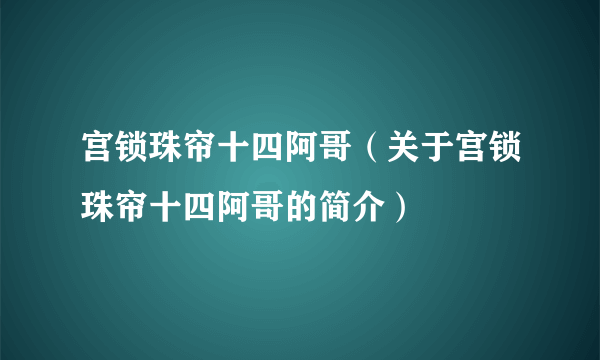 宫锁珠帘十四阿哥（关于宫锁珠帘十四阿哥的简介）