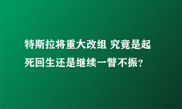 特斯拉将重大改组 究竟是起死回生还是继续一瞥不振？