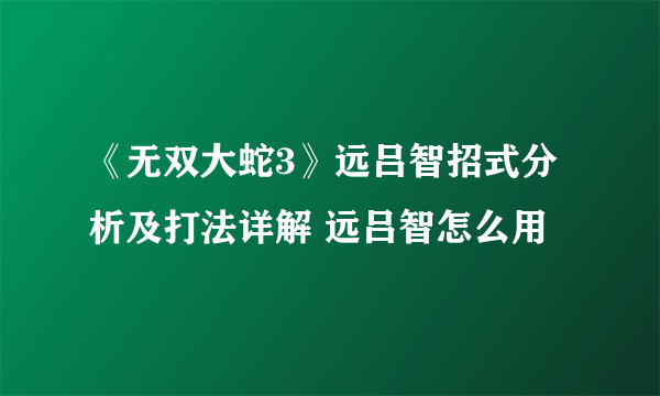 《无双大蛇3》远吕智招式分析及打法详解 远吕智怎么用