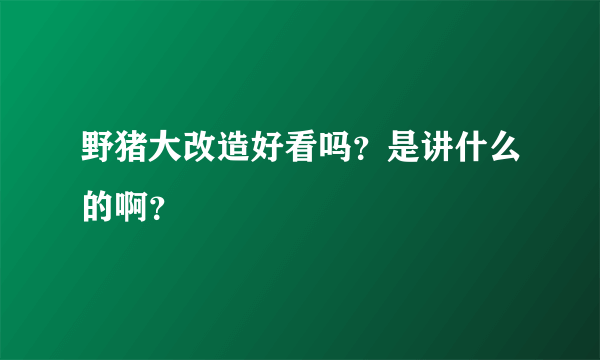 野猪大改造好看吗？是讲什么的啊？